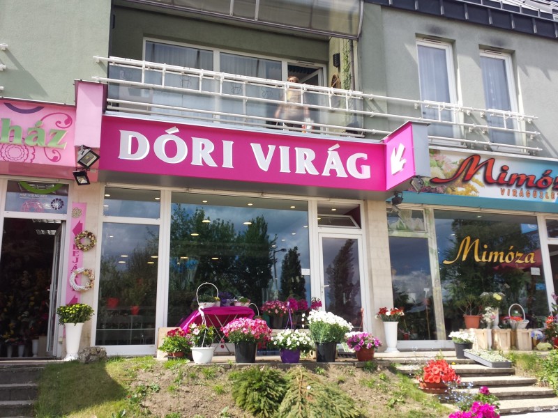 Dóri Virág