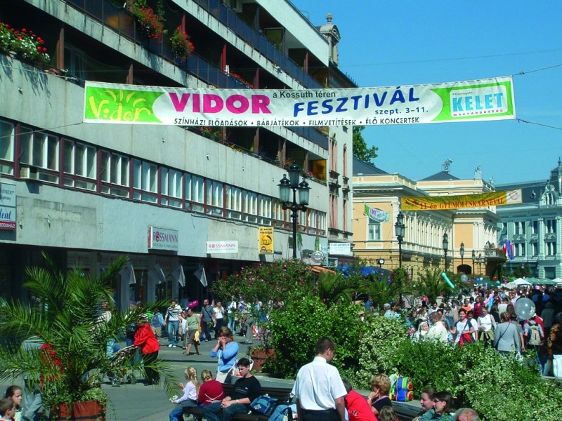 Vidor transzparens