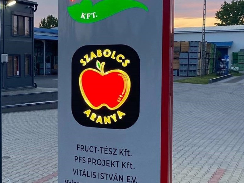 Vitifrucht