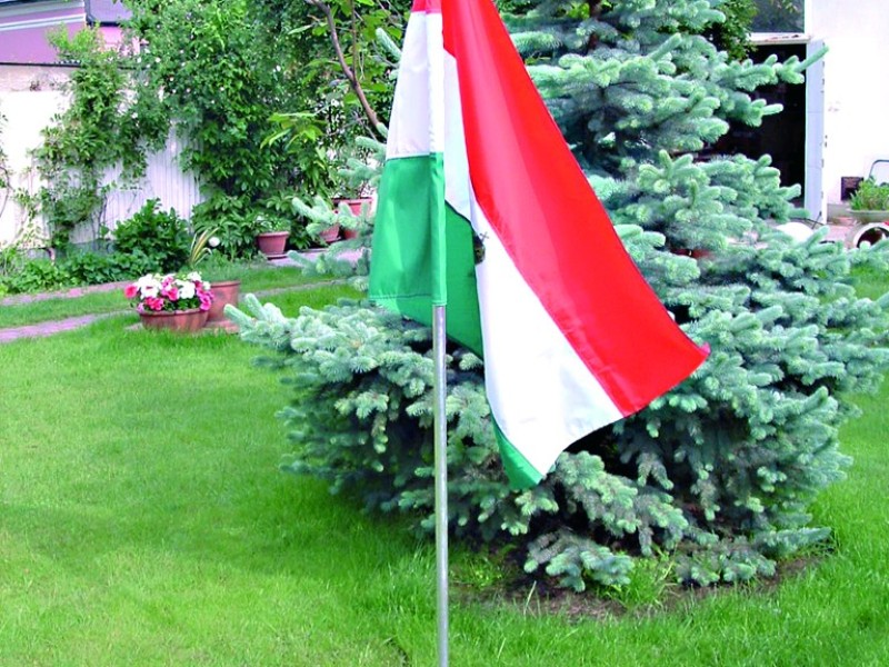 Talpas zászló